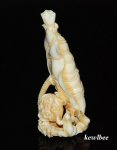 aeb0582 Japanese Hippo Ivory Carving Snuff Bottle Frog Lotus Leaf