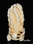 aeb0558 Handcraft Hippo Ivory Carving Snuff Bottle Fruit