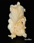aeb0592 Japanese Hippo Ivory Carving Snuff Bottle Cabbage