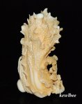aeb0598 Japanese Hippo Ivory Carving Snuff Bottle Cabbage