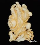 aeb0584 Japanese Hippo Ivory Carving Snuff Bottle Fruit