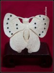 adb0741 Fine Genuine Mammoth Ivory Netsuke Butterfly