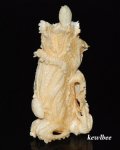 aeb0543 Hand Carved Hippo Ivory Carving Snuff Bottle Cabbage