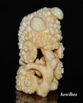 aeb0511 Hand Carved Hippo Ivory Carving Snuff Bottle Fungus