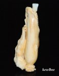 aeb0563 Japanese Hippo Ivory Carving Snuff Bottle