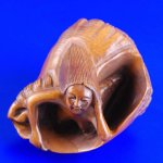 Carved Boxwood Wood Netsuke Carving Mermaid Lady Shell