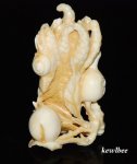 aeb0562 Handcraft Hippo Ivory Carving Snuff Bottle Fruit