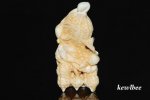 aeb0613 Japanese Hippo Ivory Carving Snuff Bottle Earthnut