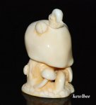 aeb0549 Hand Carved Hippo Ivory Carving Snuff Bottle Fungus