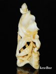 aeb0531 HAND CARVED HIPPO TUSK SNUFF BOTTLE FROG LOTUS