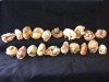 itnxx01 Wholesale Chinese Hand carved Tagua Ivory Nut Netsuke Animals